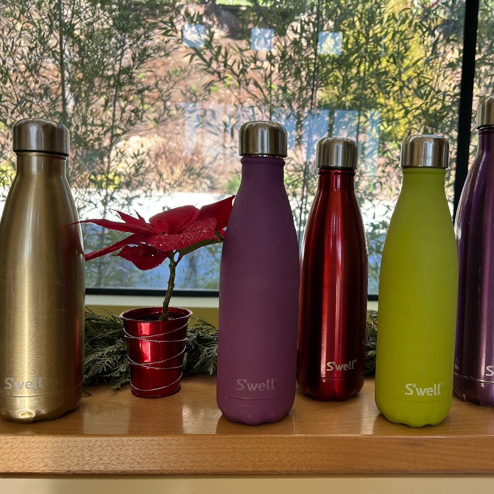 Swell Water Bottles (6 assorted)